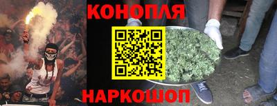 мдпв Можга