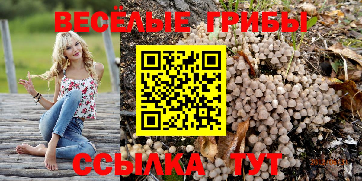 Дзержинск  Псилоцибиновые грибы Magic Shrooms  Псилоцибиновые грибы MAGIC MUSHROOMS  даркнет сайт  Вход с VPN 