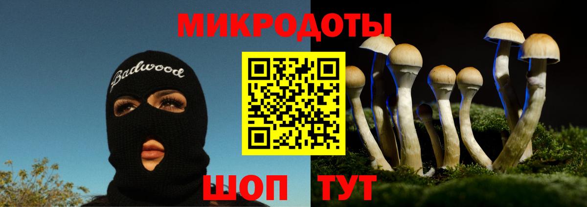 Псилоцибиновые грибы прущие грибы Дзержинск
